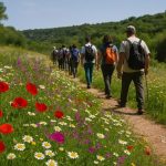 Escursione tra i fiori di primavera nell’oasi WWF Monte Sant’Elia, Parco Terra delle Gravine