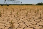 emergenza siccità in Puglia nei campi agricoli di Taranto