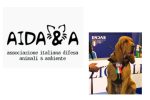 Cane Bruno vittima di avvelenamento a Taranto – allarme lanciato da AIDAA