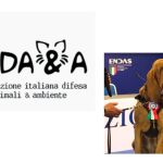 Cane Bruno vittima di avvelenamento a Taranto – allarme lanciato da AIDAA