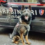 Carabinieri durante il maxi controllo a Taranto con sequestro di droga e coltello