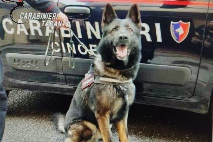 Carabinieri durante il maxi controllo a Taranto con sequestro di droga e coltello