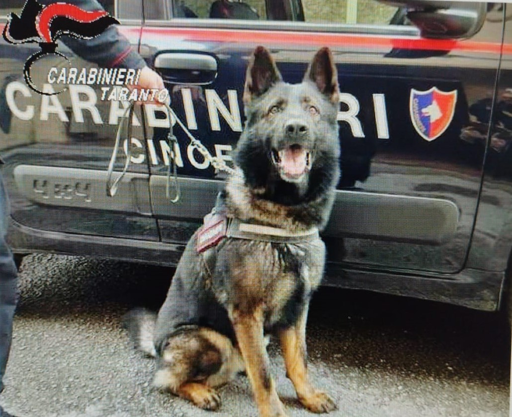 Carabinieri durante il maxi controllo a Taranto con sequestro di droga e coltello
