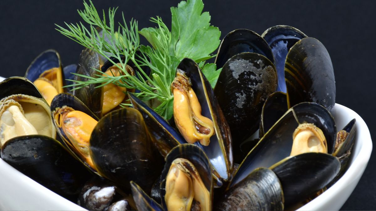 : Miti di Mare Taranto, valorizzazione della mitilicoltura e della cultura del territorio.