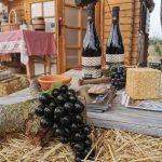 Partecipanti al Bacco Tour 2025 a Talsano durante eventi e degustazioni