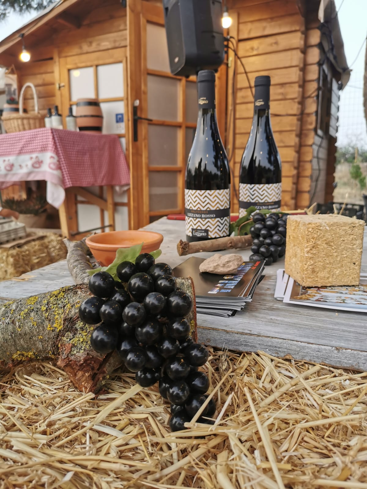 Partecipanti al Bacco Tour 2025 a Talsano durante eventi e degustazioni