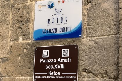 Giovani europei al Film Festival Show Your Mind a Taranto per il benessere mentale