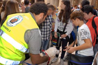 XIX Rassegna provinciale del Volontariato a Taranto