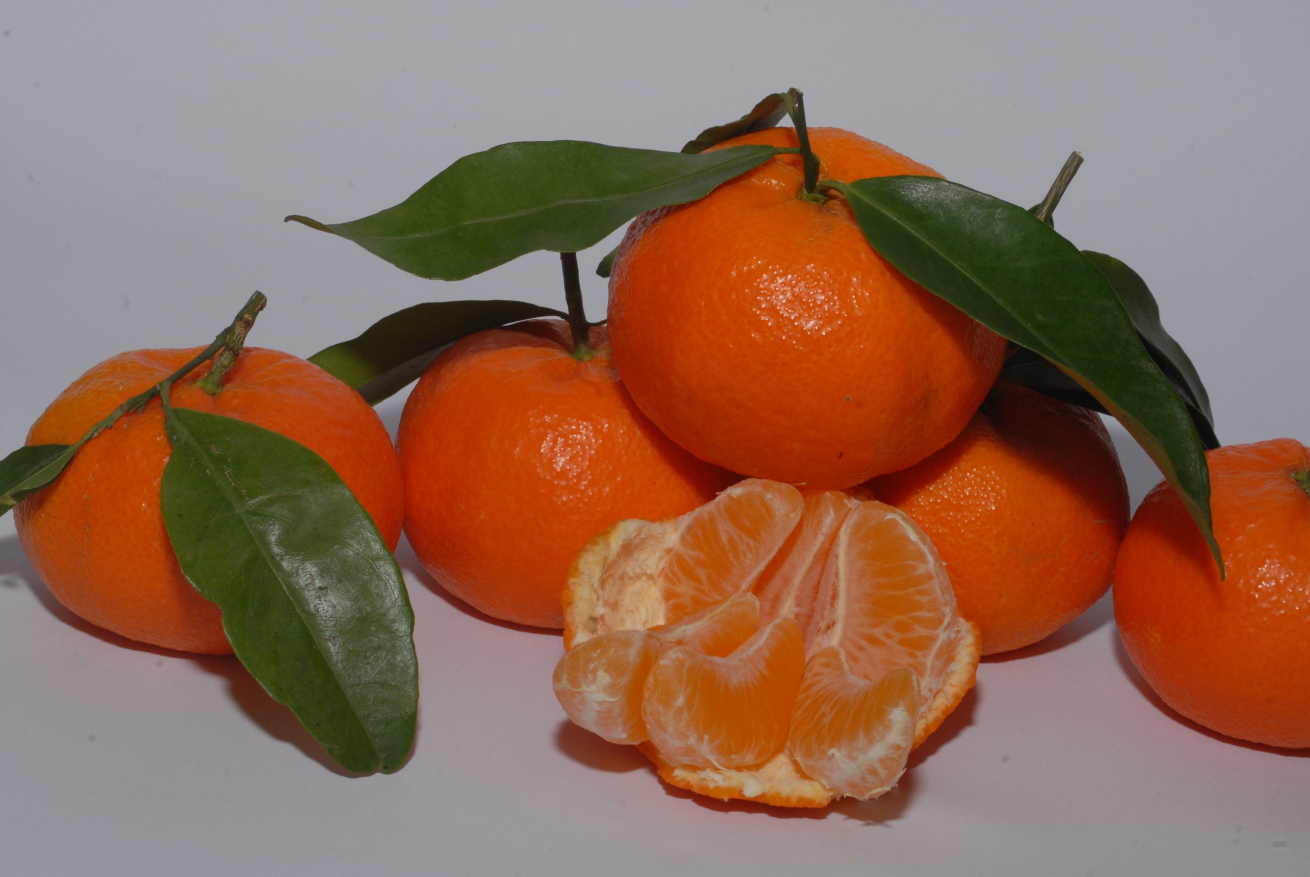 lementine del Golfo di Taranto IGP durante l’iniziativa promozionale