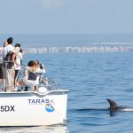 Ricerca marina nel Mar Ionio durante attività di monitoraggio cetacei