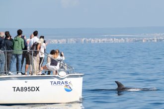 Ricerca marina nel Mar Ionio durante attività di monitoraggio cetacei