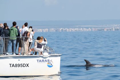 Ricerca marina nel Mar Ionio durante attività di monitoraggio cetacei