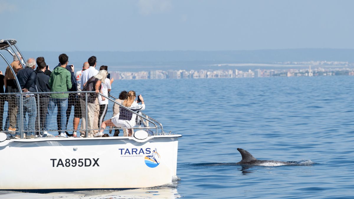 Ricerca marina nel Mar Ionio durante attività di monitoraggio cetacei
