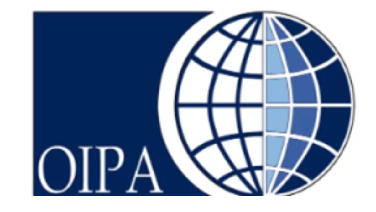 cani uccisi a fucilate a Taranto, allerta per i randagi in zona