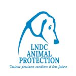 cani uccisi a fucilate a Taranto, appello LNDC alle segnalazioni