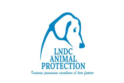 cani uccisi a fucilate a Taranto, appello LNDC alle segnalazioni