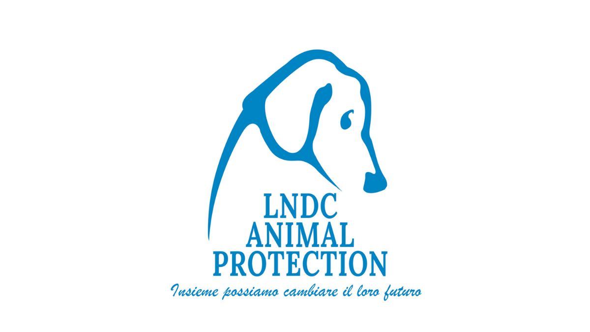 cani uccisi a fucilate a Taranto, appello LNDC alle segnalazioni